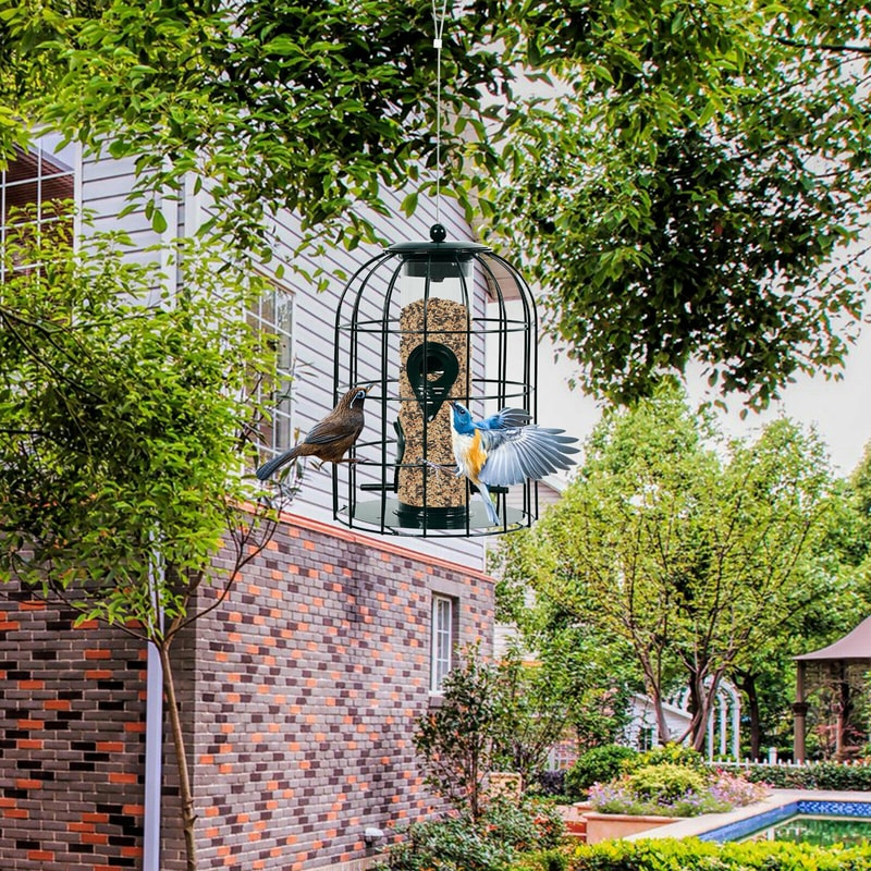 Squirrel-Proof Caged Tube Wild Bird Feeder, Outdoor Metal Seed Guard & Deterrent