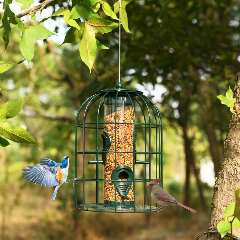 Squirrel-Proof Caged Tube Wild Bird Feeder, Outdoor Metal Seed Guard & Deterrent