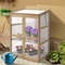 Premium Garden Portable Wooden Greenhouse with Double Shelves & Foldable Top for Patio, Balcony & Deck Plant Display