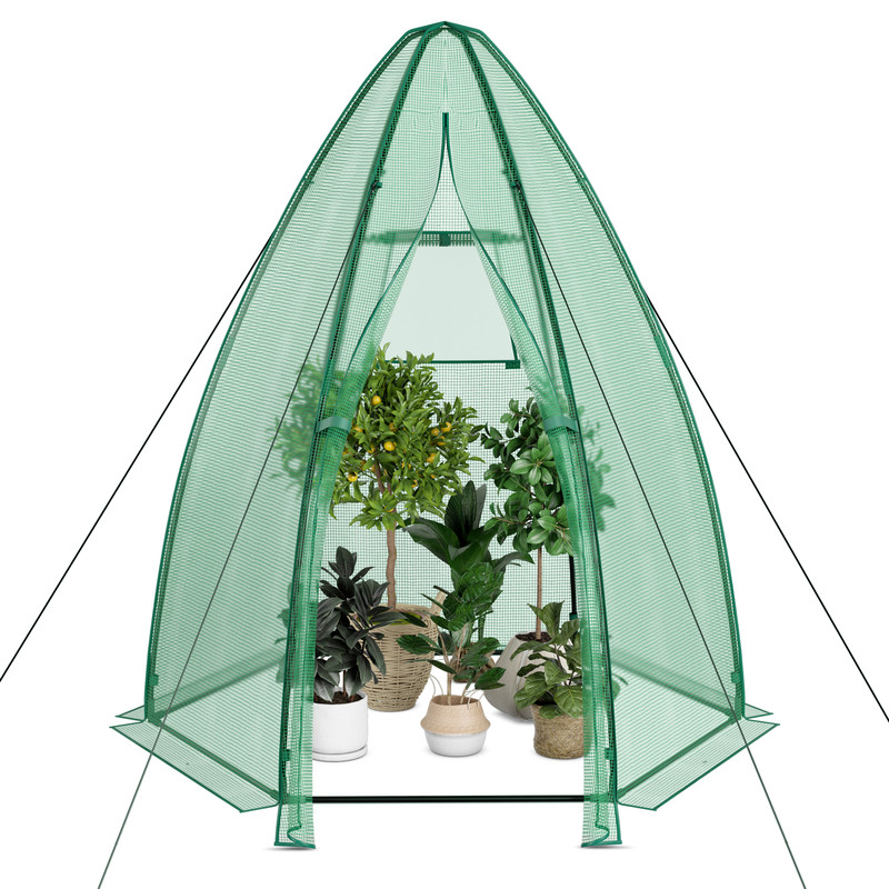 Portable Mini Greenhouse, 5.5 x 5.5 x 6 Ft with All-Weather PE Cover for Year-Round Gardening
