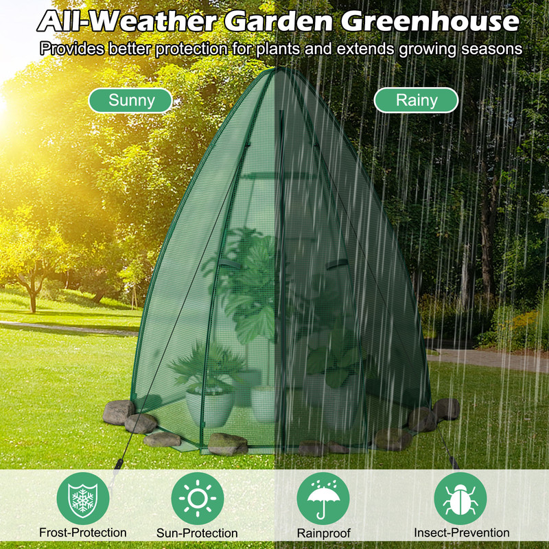 Portable Mini Greenhouse, 5.5 x 5.5 x 6 Ft with All-Weather PE Cover for Year-Round Gardening