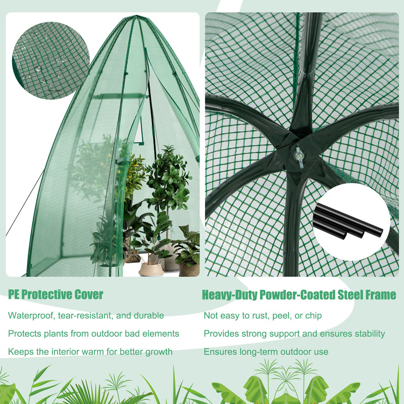 Portable Mini Greenhouse, 5.5 x 5.5 x 6 Ft with All-Weather PE Cover for Year-Round Gardening
