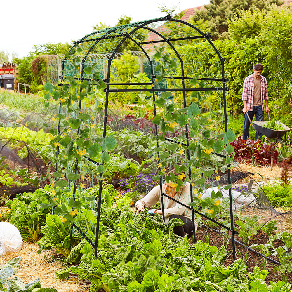 7.5 Feet Garden Arch Trellis with PE Coated Metal Structure for Climbing Plants, Weddings, Outdoor Garden Arbor Support