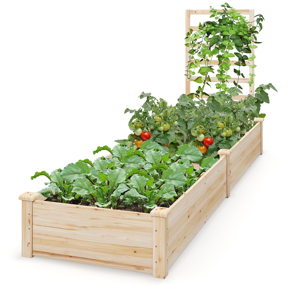 Raised Garden Bed with Planter Box and Trellis, Wooden Outdoor Elevated Planter for Vegetables Flowers Herbs
