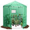 Walk-In Hexagonal Greenhouse with PE Cover & Metal Frame, Outdoor Plant Shelter for Winter, UV Protection