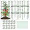 3-Pack Garden Trellis 40/60 Inch Tall Plant Support Stands with Clips and Ties for Climbing Vegetables and Flowers