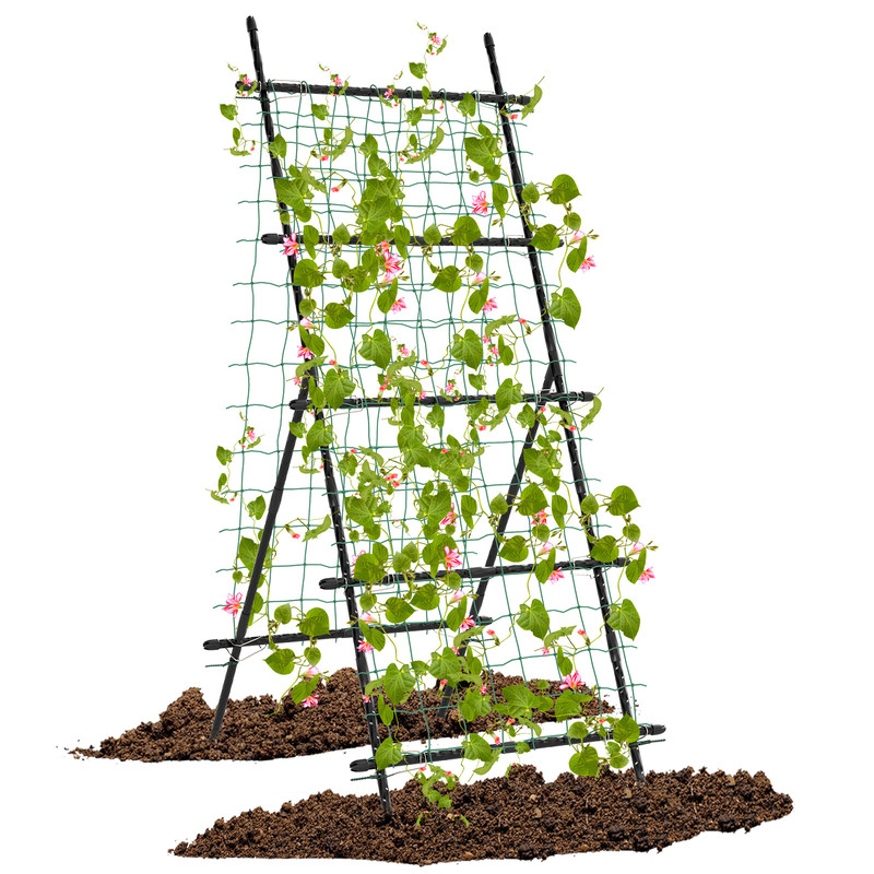 Garden Cucumber Trellis with PE-Coated Frame, 74" A-Frame Plant Support for Climbing Vegetables, Peas, Tomatoes, Roses