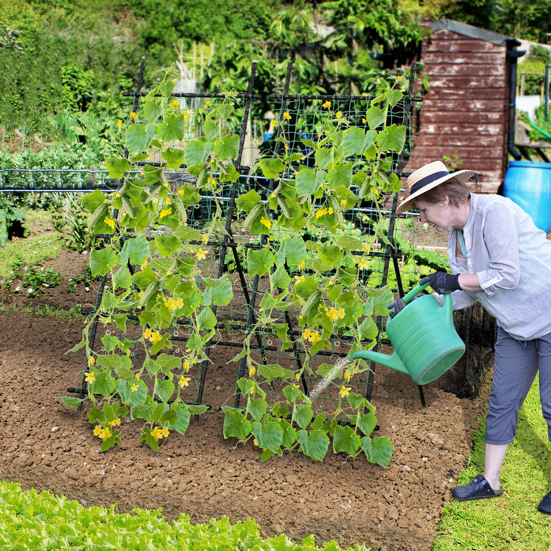Garden Cucumber Trellis with PE-Coated Frame, 74" A-Frame Plant Support for Climbing Vegetables, Peas, Tomatoes, Roses