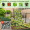 Garden Cucumber Trellis with PE-Coated Frame, 74" A-Frame Plant Support for Climbing Vegetables, Peas, Tomatoes, Roses