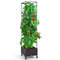 67'' Raised Garden Bed with Trellis & Planter Box, Mobile Self-Watering Vertical Gardening Planter for Tomatoes, Vines