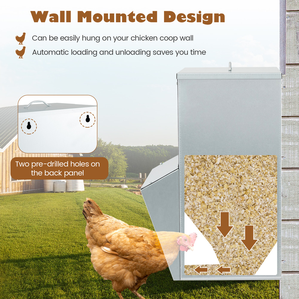 Premium Wall Mount Galvanized Chicken Feeder 50 Pounds Capacity with Semi Enclosed Trough & Weatherproof Canopy