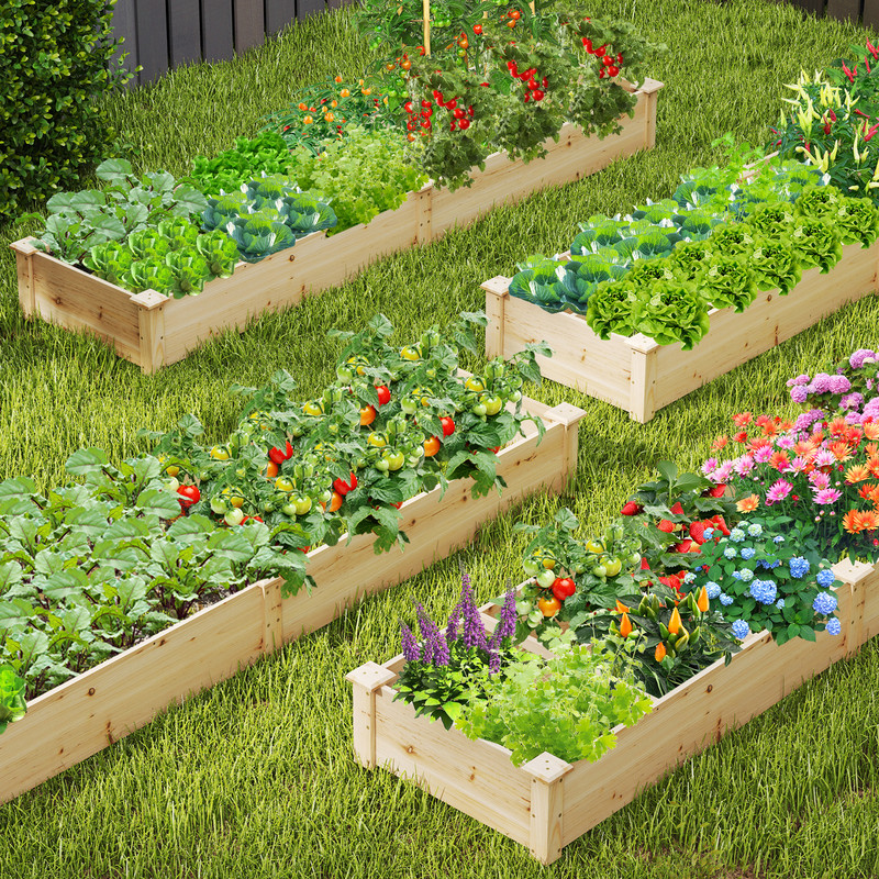 Wooden Raised Garden Bed with 2 Planter Boxes & Dividers, Large Outdoor Planter Kit for Vegetables, Herbs & Flowers
