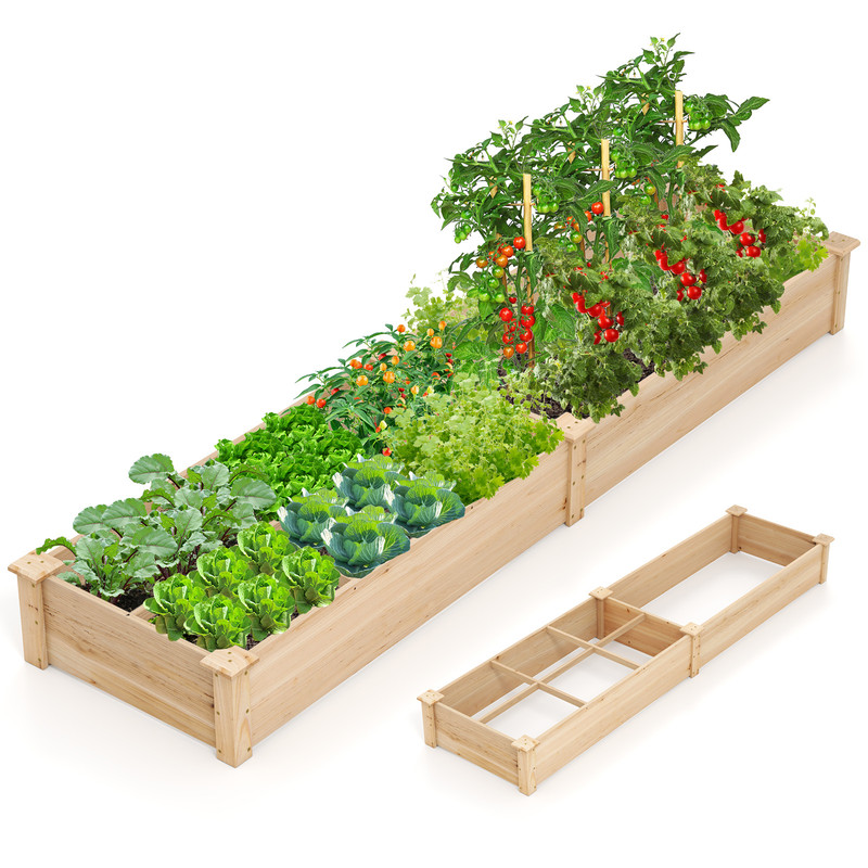 Wooden Raised Garden Bed with 2 Planter Boxes & Dividers, Large Outdoor Planter Kit for Vegetables, Herbs & Flowers
