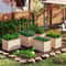 Deep Wooden Raised Garden Bed Elevated Planter Box with Open Bottom for Outdoor Vegetables, Herbs & DIY Gardening