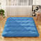 Foldable Futon Mattress with Washable Cover & Carry Bag, Portable for Camping, Home & Travel