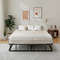 Queen Size Bed Frame with Metal Slat Support Sturdy & Modern Design