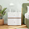 2-Drawer Modern Nightstand with Storage, Stylish Bedside Table for Living Room & Bedroom