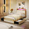 Golden Twin/Full/Queen Size Bed Frame with LED Lights & USB Charging Station