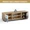 Modern 55-Inch TV Stand with 2 Storage Cabinets, Holds TVs up to 60 Inches