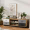 Modern 55-Inch TV Stand with 2 Storage Cabinets, Holds TVs up to 60 Inches