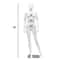 5.8 ft Full Body Female Mannequin Egghead Dress Form Manikin with Metal Stand for Display, Sewing, Clothing Stores