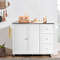 2Door Kitchen Island With Stainless Steel Top  Drawers  Large Storage Cabinet For Modern Kitchens 5