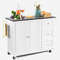 2Door Kitchen Island With Stainless Steel Top  Drawers  Large Storage Cabinet For Modern Kitchens 6