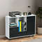 Lateral Mobile Filing Cabinet with 2 Drawers – Heavy-Duty Rolling Printer Stand & Adjustable Storage