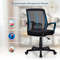 Mid-Back Mesh Height Adjustable Executive Chair with Lumbar Support, Ergonomic Swivel Office Chair for Home Desk