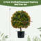 Artificial Boxwood Topiary Ball Trees, Lifelike Faux Plants with Orange Fruit for Indoor Outdoor Decor