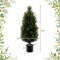 3 Feet Artificial Topiary Cedar Tree with Cement Plastic Pot Realistic Moss Green Faux Cypress for Indoor, Outdoor Decor