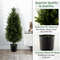 3 Feet Artificial Topiary Cedar Tree with Cement Plastic Pot Realistic Moss Green Faux Cypress for Indoor, Outdoor Decor