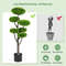 6 Ball Artificial Cypress Topiary Ball Tree With Weighted Pot For Porch Realistic IndoorOutdoor Dec 5