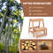 Solid Fir Wood 2Step Stool Foldable Step Ladder Plant Display Shelf For Small Spaces 4