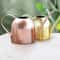 Stainless Steel Long Spout Watering Can for Indoor Plants and Gardening Sand Gold