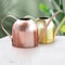 Stainless Steel Long Spout Watering Can for Indoor Plants and Gardening Sand Gold