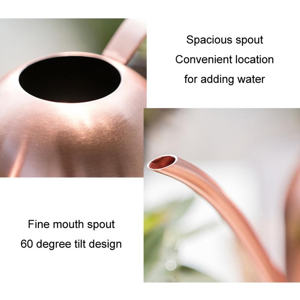 Stainless Steel Long Spout Watering Can for Indoor Plants and Gardening Sand Gold