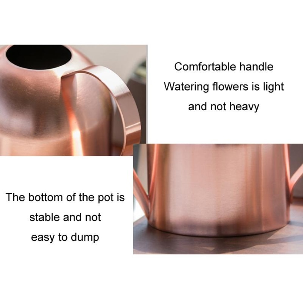 Stainless Steel Long Spout Watering Can for Indoor Plants and Gardening Sand Gold