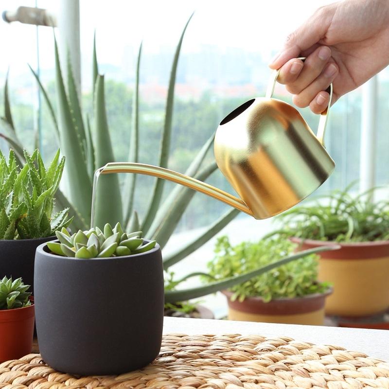 Stainless Steel Long Spout Watering Can for Indoor Plants and Gardening Sand Gold