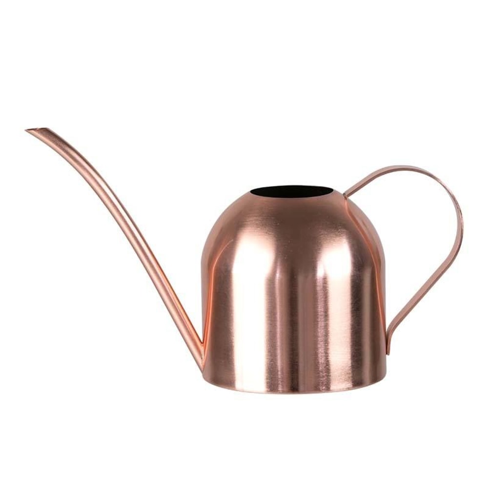 Stainless Steel Long Spout Watering Can for Indoor Plants and Gardening Sand Gold