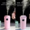 Mini Humidifier with LED Night Light 260ml Portable Air Humidifier for Home Car Desk Moisturizing Device