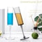 Elegant Acrylic Champagne Glasses Set Unbreakable Champagne Flutes for Parties and Outdoor Use
