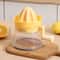 Hand Crank Manual Juicer Portable Fruit Extractor Kitchen Juicer