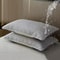 Breathable cotton pillowcases Anti Sweat Dirt Resistant Soft Skin Friendly Pillow Covers Set