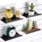 Wall Mounted Metal Display Rack Iron Decorative Storage Holder for Home & Retail Organization