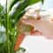 Bird Shaped Self Watering Plant Spikes Automatic Plant Waterer Indoor Plant Irrigation System