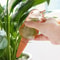 Bird Shaped Self Watering Plant Spikes Automatic Plant Waterer Indoor Plant Irrigation System