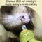 LED Dog Cat Nail Clipper With Safety Light Stainless Steel Pet Nail Trimmer 10
