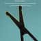 Stainless Steel Nose Hair Scissors with Round Tip Safety Design Precision Facial Grooming Trimmer