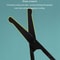 Stainless Steel Nose Hair Scissors with Round Tip Safety Design Precision Facial Grooming Trimmer